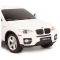    Rastar BMW X6 (. 31700), 1:24 (20). 